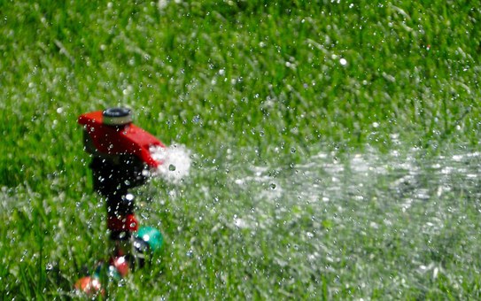 lawn-watering-mistakes.jpg